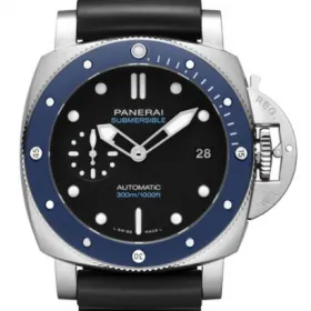 PAM01209
