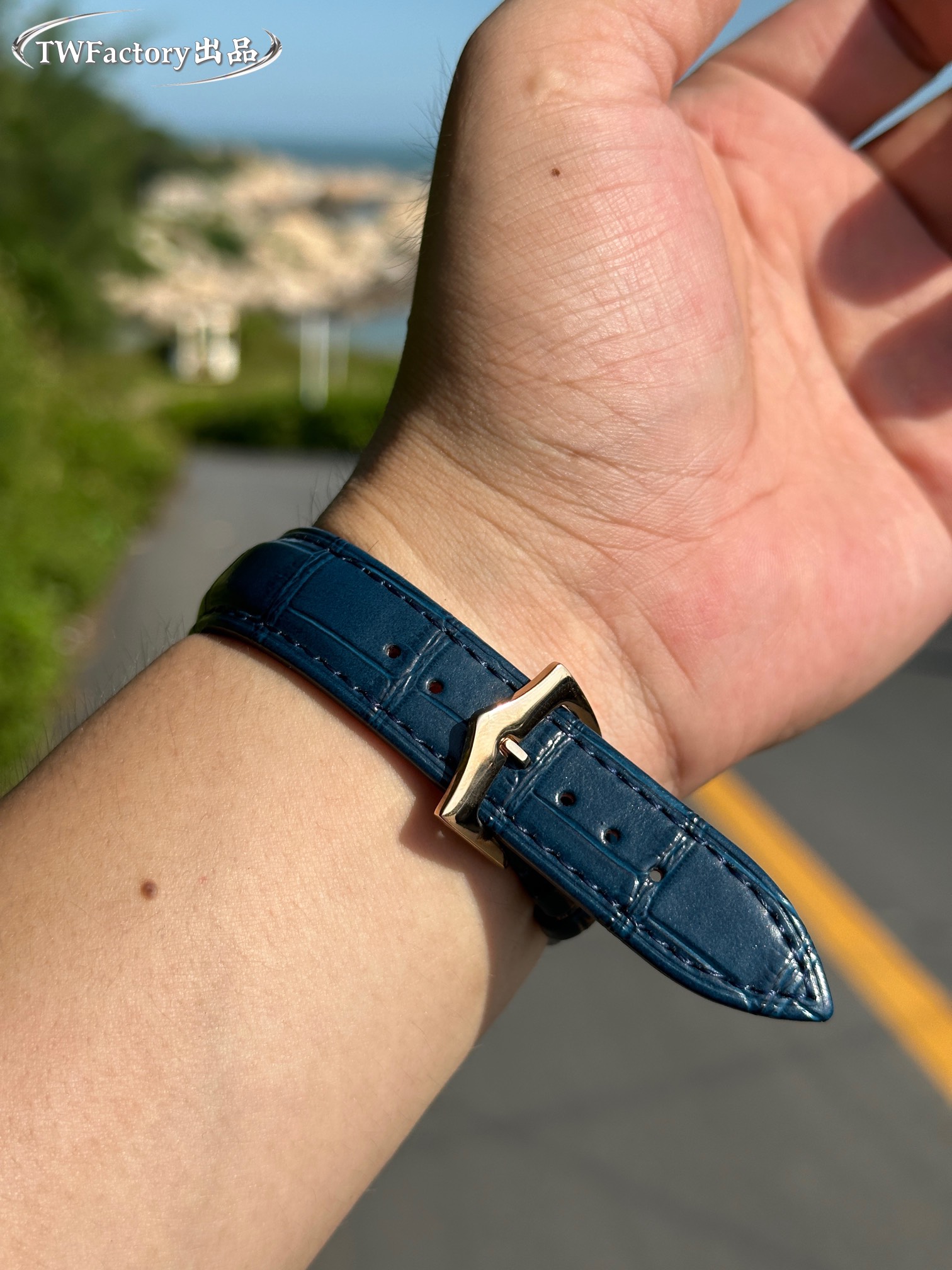 パテックフィリップ コンプレックス マルチファンクションシリーズ 5905R-010 レジャー スポーツ時計[6]