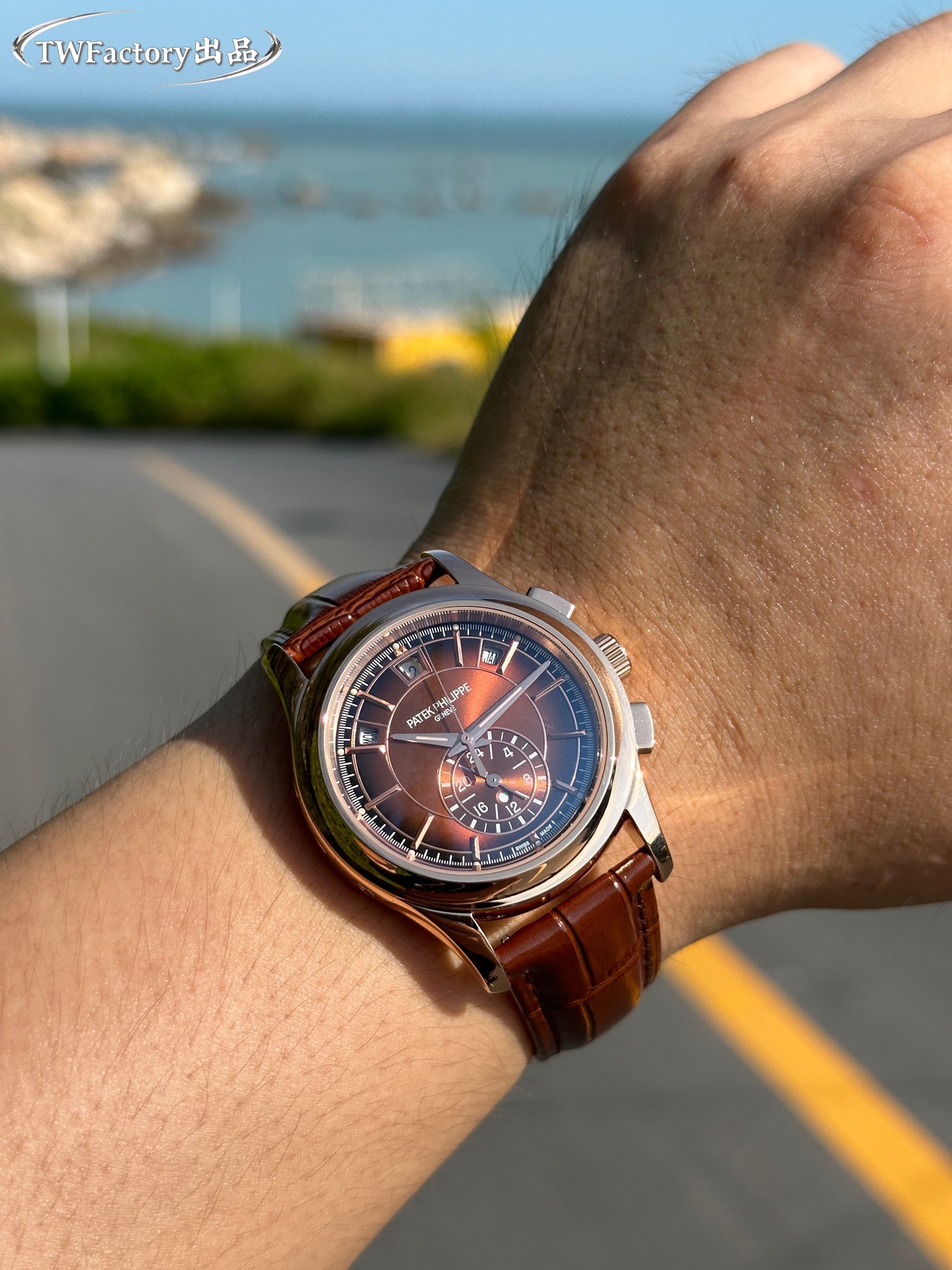 パテックフィリップ時計コピー最新型出現コンプレックスマルチファンクションシリーズ 172555[2]