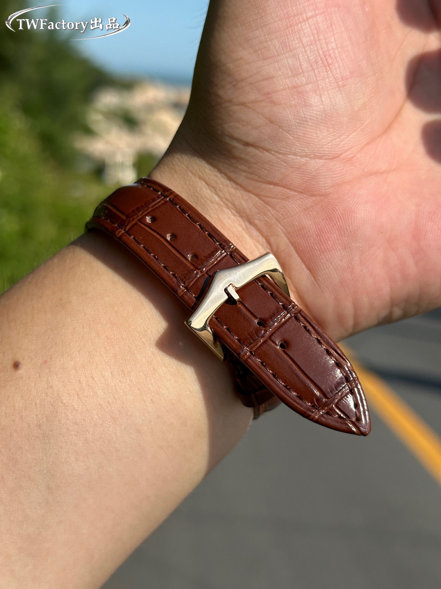 パテックフィリップ時計コピー最新型出現コンプレックスマルチファンクションシリーズ 172555[6]