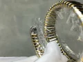 高貴な気質ブルガリ女性スーパーコピーの時計セルペンティシリーズ 173406 (9)