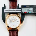 最新の海外ブランドパネライメンズコピー自動巻き機械式ムーブメント 117237 (6)