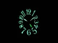 FRANCKMULLER フランクミュラー カサブランカ 5850CASA 時計 (5)